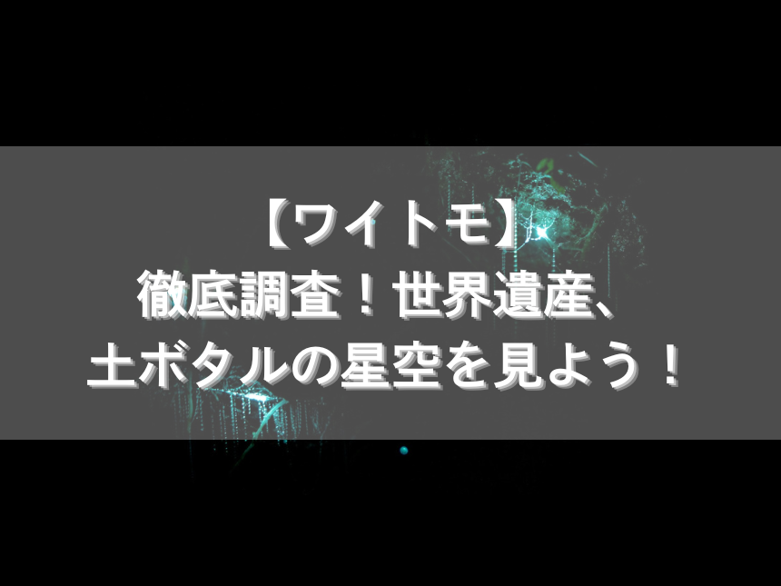 【ワイトモ】徹底調査！世界遺産、土ボタルの星空を見よう！